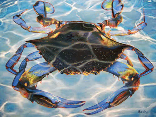 Blue Crab Bay Fine Art Print